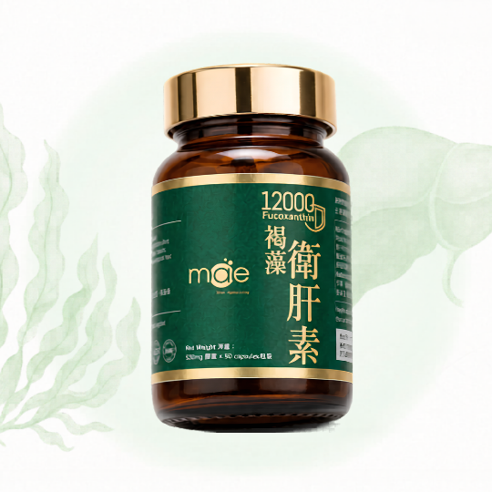 MAE 褐藻衛肝素 12000